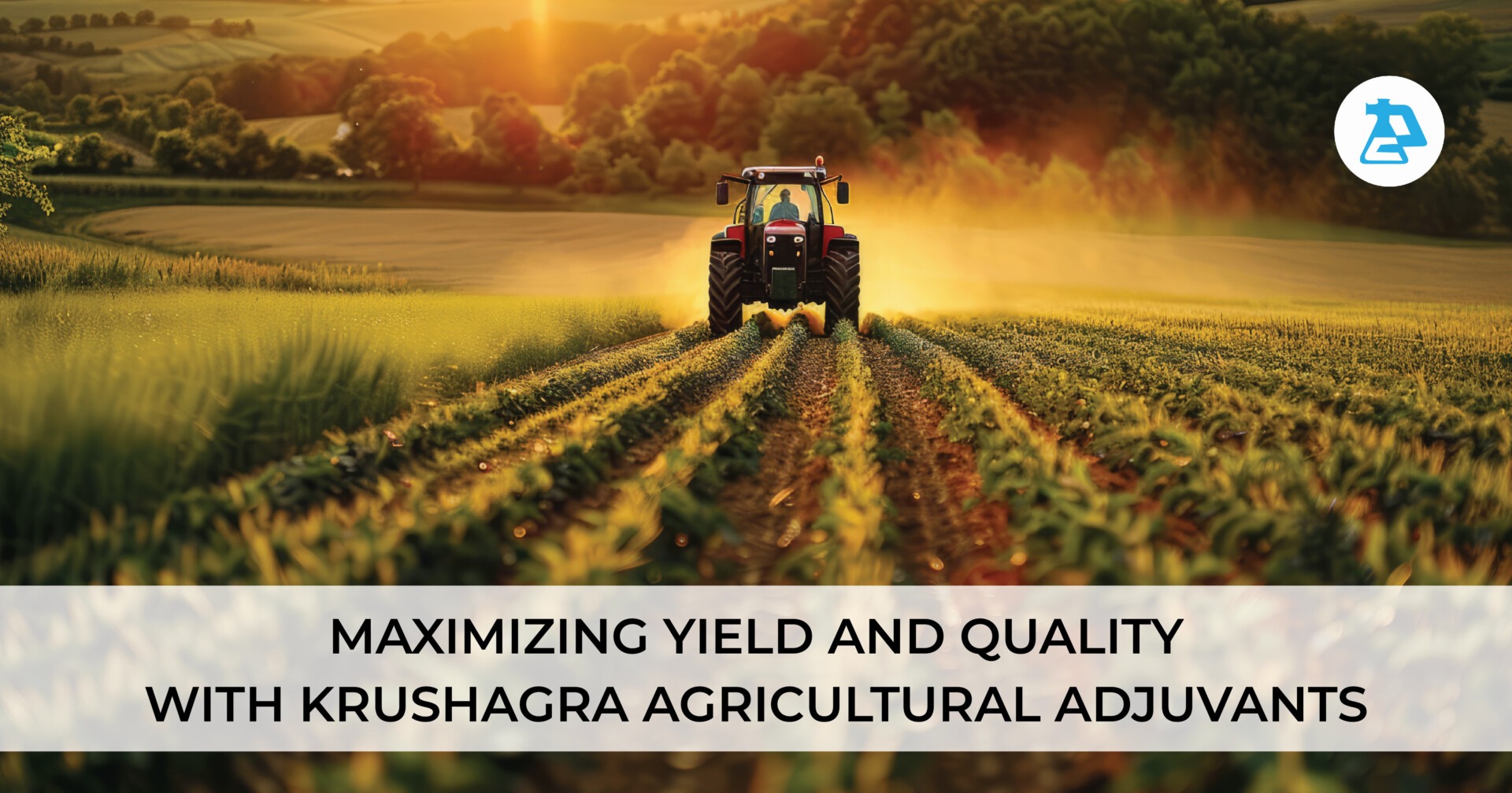 Maximizing Yield and Quality with Krushagra’s agricultural adjuvants