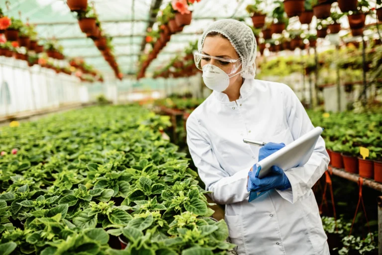 Export-oriented and organic farms